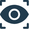 Vision